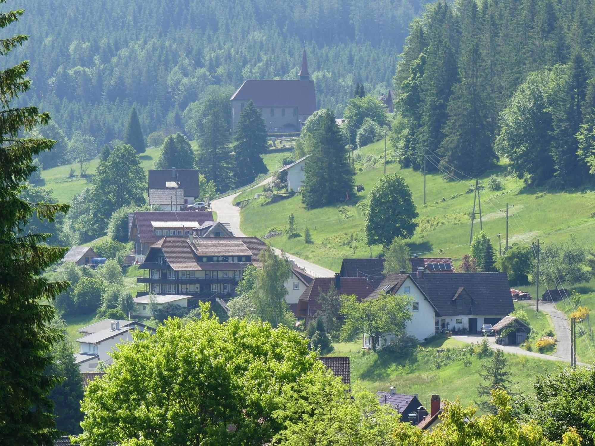 Haus Gisela Apartment Forbach Luaran gambar