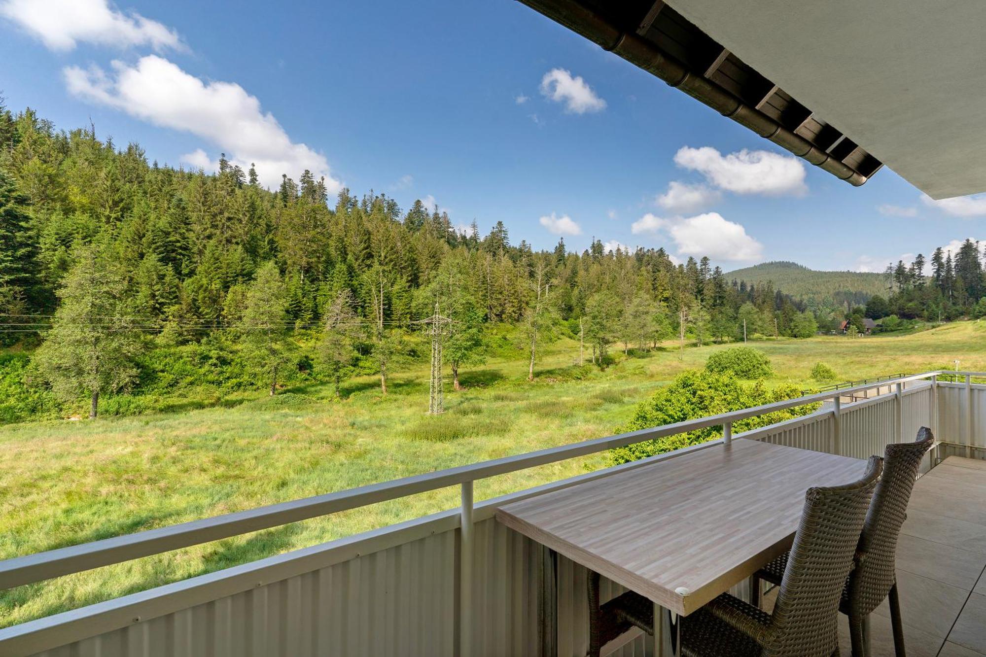 Haus Gisela Apartment Forbach Luaran gambar